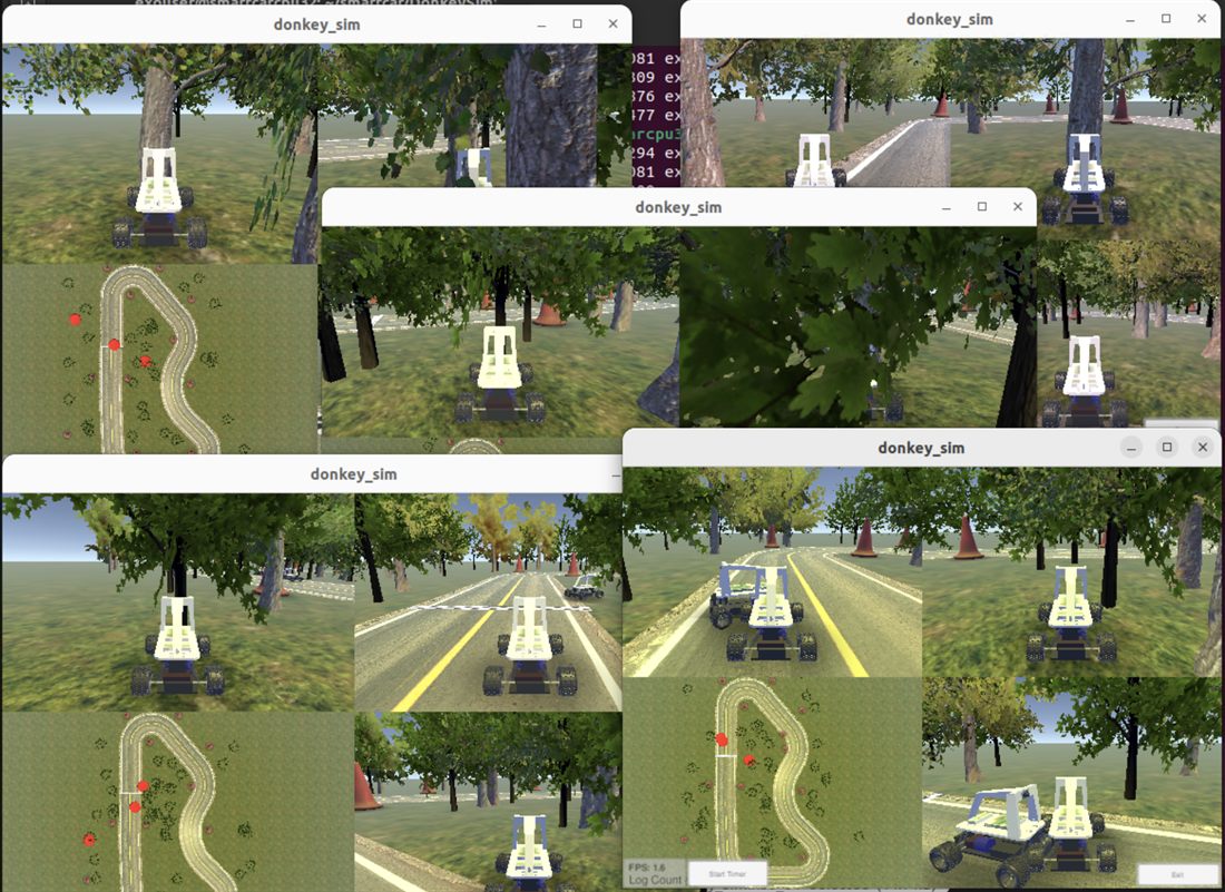 Parallel DonkeySim training windows